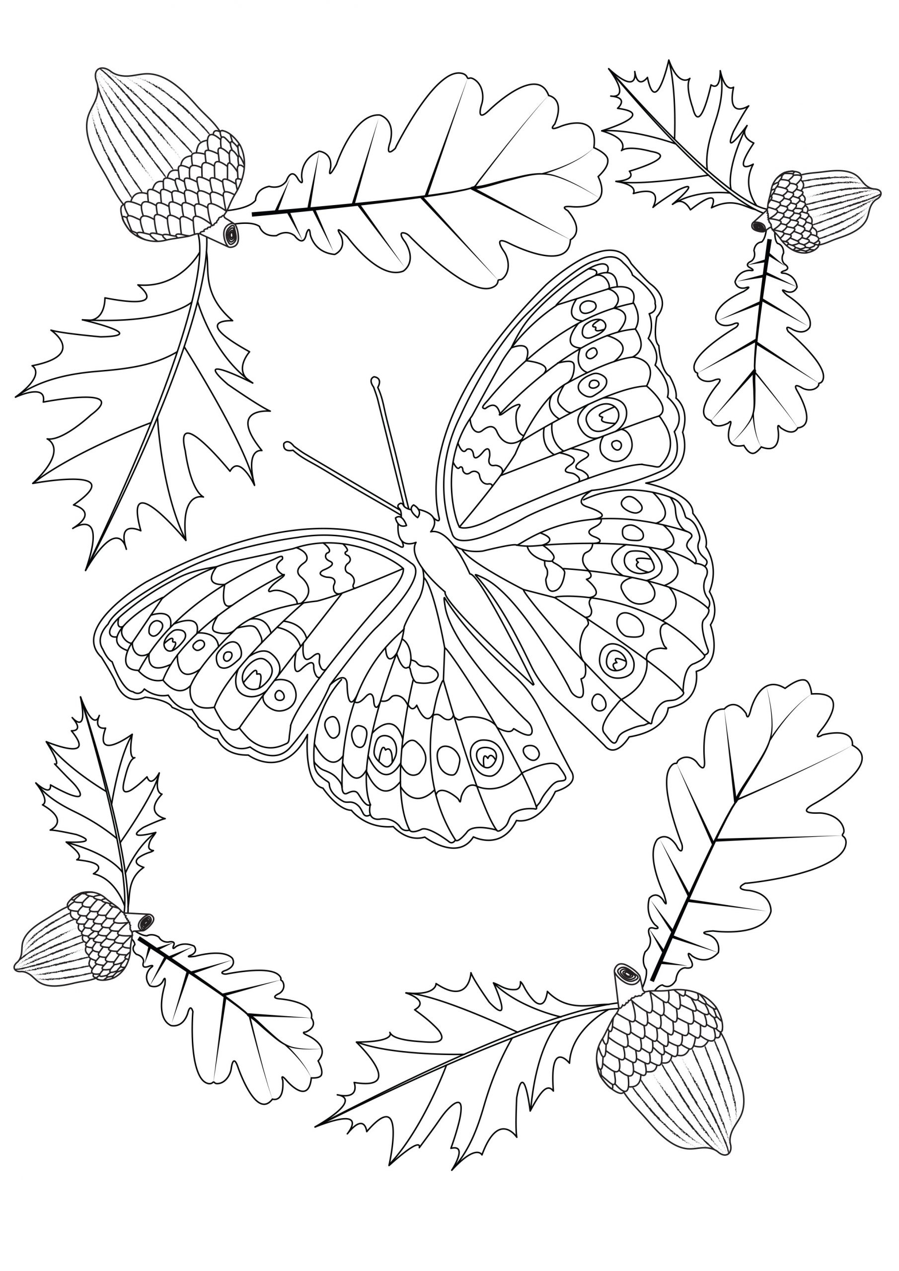 Impressionnant Image Coloriage Papillon avec Coloriage D Automne