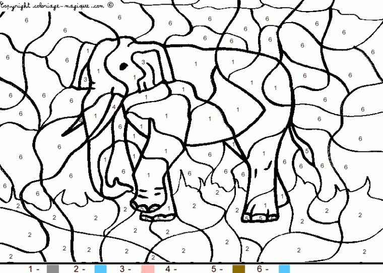 Index Of Albumsphotoscoloriage-Magique-Animaux à Coloriage Magique Animaux