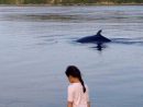 Innushkueu Et La Baleine - Fondation David Suzuki à Cri Baleine