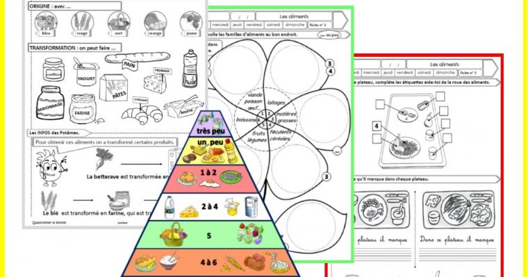 Ipotâme .Tâme: Qlm : Alimon , Origine Des Aliments intérieur Ipotame Lecture Cycle 2