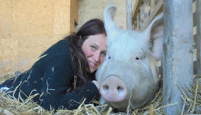 Italie : Elle Se Bat Pour Sauver Des Cochons - Yummypets serapportantà Pourquoi Les Cochons Se Roulent Dans La Boue