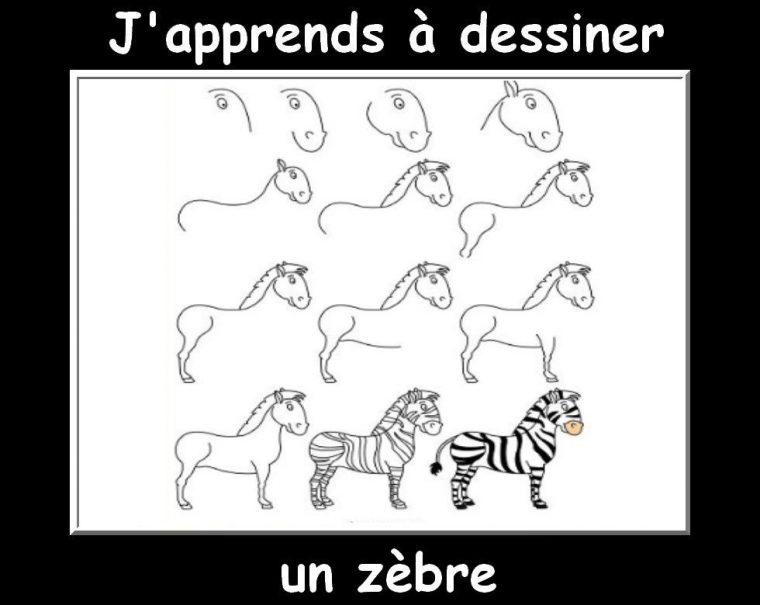 J'Apprends À Dessiner Les Animaux  Encore! – La Classe dedans Apprendre A Dessiner Animaux