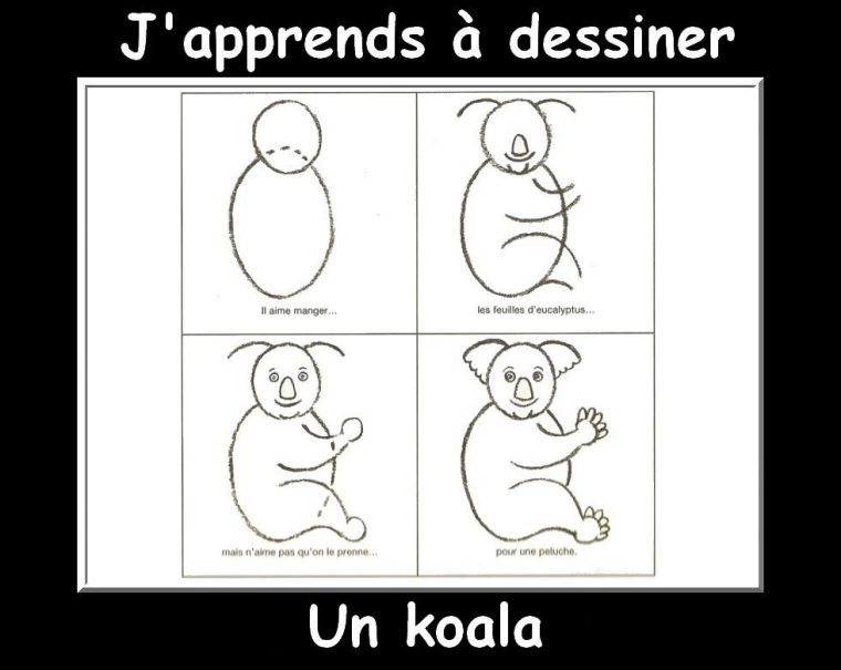 J'Apprends À Dessiner Les Animaux Suite – La Classe De tout Apprendre A Dessiner Un Lapin Facilement