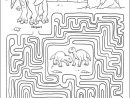 Jeu Du Labyrinthe Récré Kids En 2021  Coloriage Dinosaure tout Coloriage Labyrinthe