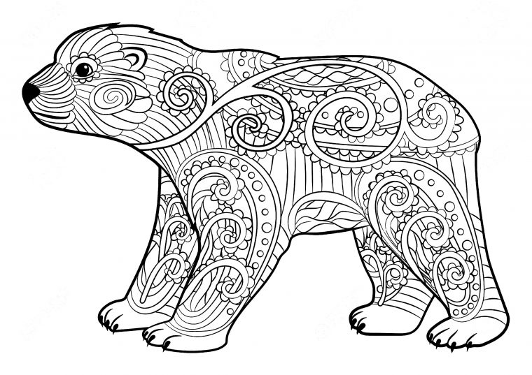 Jeune Ours – Ours – Coloriages Difficiles Pour Adultes concernant Coloriage À Imprimer D Animaux