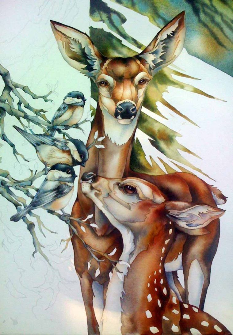 Jody Bergsma – Peintre – Aquarelle – Biche, Faon Et pour Dessin Faon