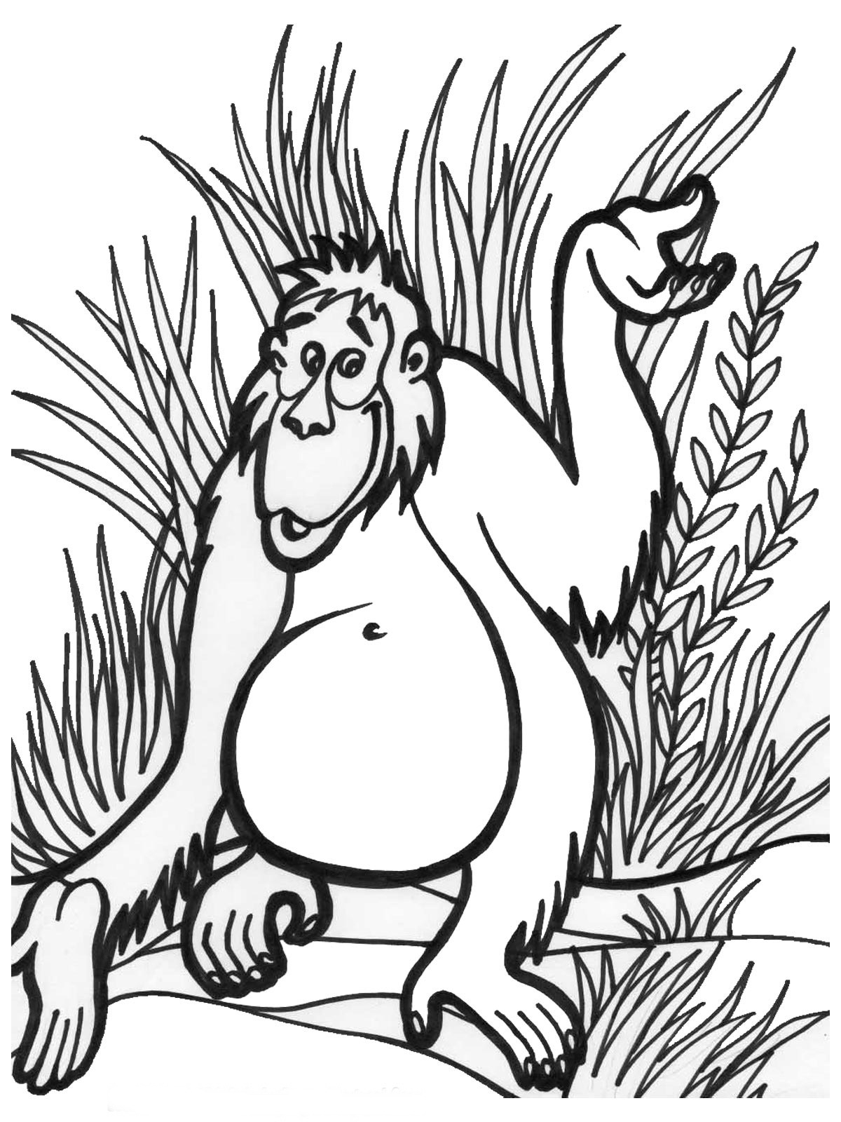 Jungle Themed Coloring Pages At Getcolorings  Free à Coloriage Animaux Jungle