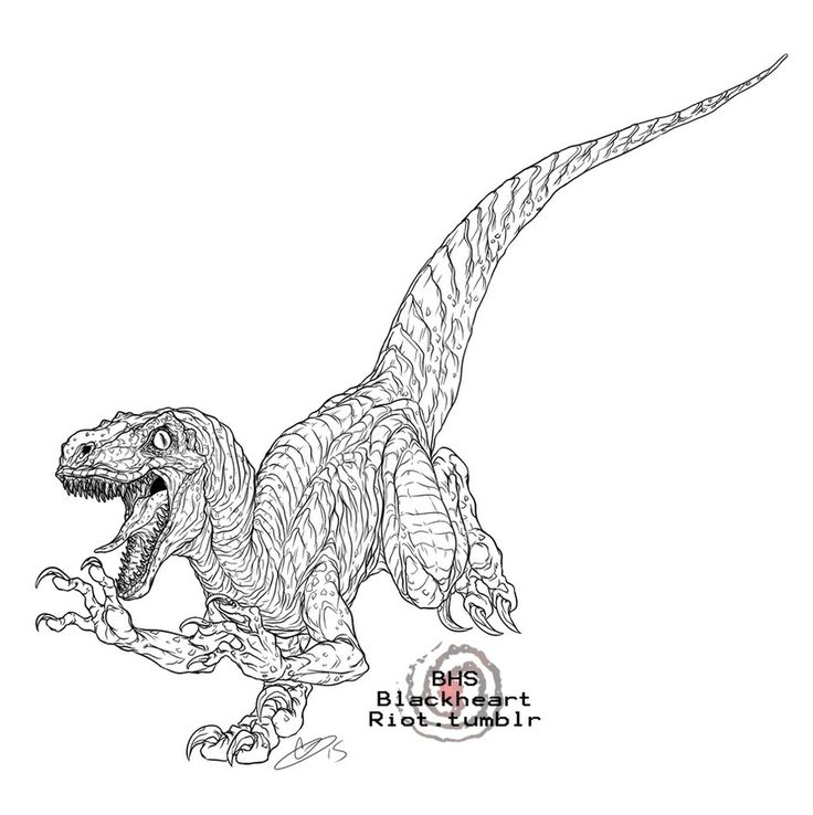 Jurassic World Coloring Pages Blue Free  Coloriage avec Coloriage Jurassic Park