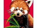 Kit Canevas Pour Enfant Panda Roux - Luc Créations intérieur Panda Roux Dessin