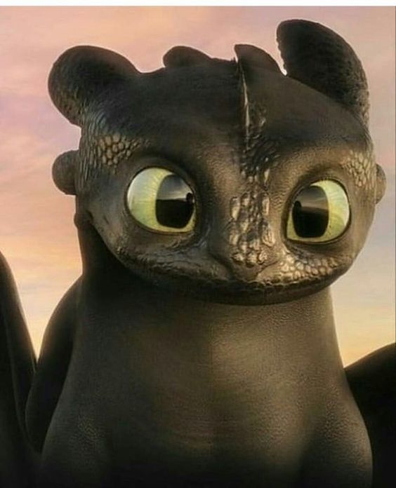 Krokmou Or Toothless  Krokmou, Dragon Krokmou, Dragon pour Dragons Dessin Animé 