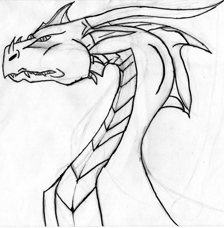 Krokmou-The-Dragon dedans Dessin Dragon