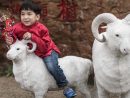 La Chine Entre Dans L'Année Du Mouton Ou De La Chèvre encequiconcerne Cri Du Mouton