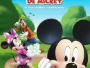 La Maison De Mickey, Vol. 2 - Livre - France Loisirs avec Dessin Maison De Mickey