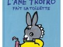 L'Âne Trotro Fait Sa Toilette - Achat  Vente Livre tout Trotro Lapin