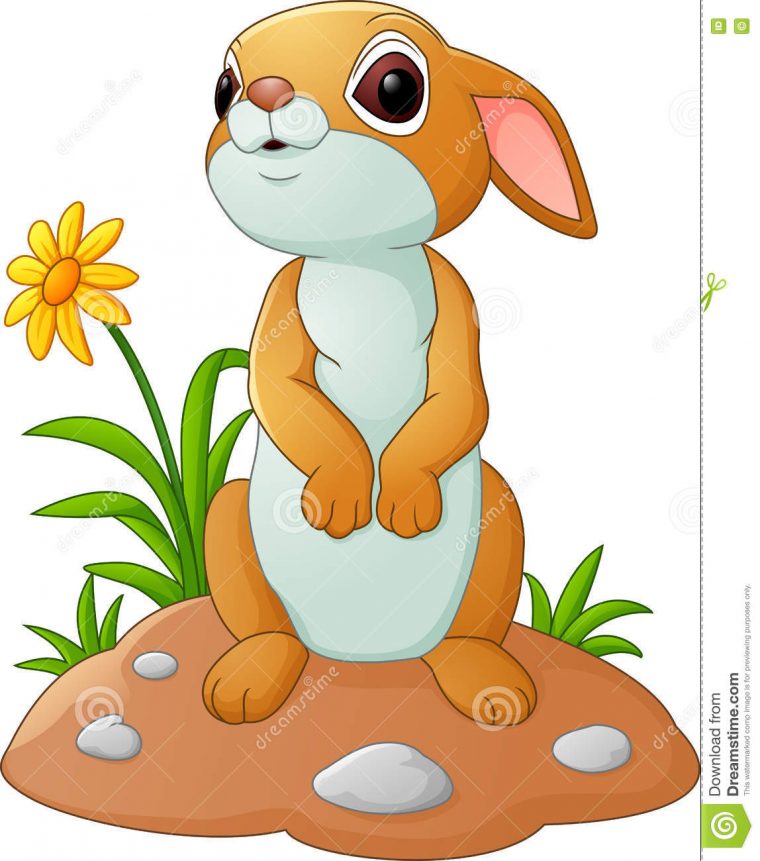 Lapin Mignon De Dessin Animé Illustration De Vecteur destiné Lapin Dessin Couleur