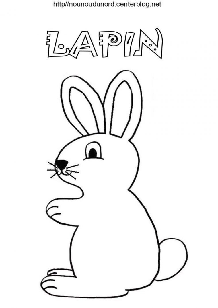 Lapins Pour Gommettes À Colorier Et En Couleur. dedans Dessin De Lapin Facile A Dessiner