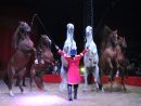 Le Grand Cirque Medrano En Corse - Notre Spectacle concernant Cirque Animaux