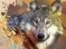 Le Loup &amp; L'Oiseau - 26 Et 27 Septembre 2020  Les Loups destiné Loup En Ligne