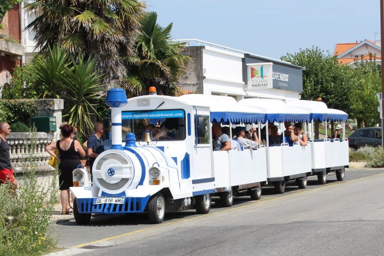 Le Petit Train De L'Ouest encequiconcerne Toma Le Petit Train