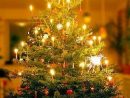 Le Sapin De Noël : Symbolique Et Décorations Des Origines pour Sapin Noel Image