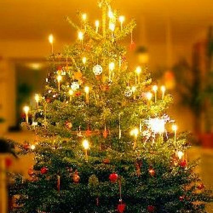 Le Sapin De Noël : Symbolique Et Décorations Des Origines pour Sapin Noel Image 