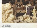 Leçons De Choses: Le Mouton  Le Cri Des Animaux, Mouton destiné Cri Du Mouton