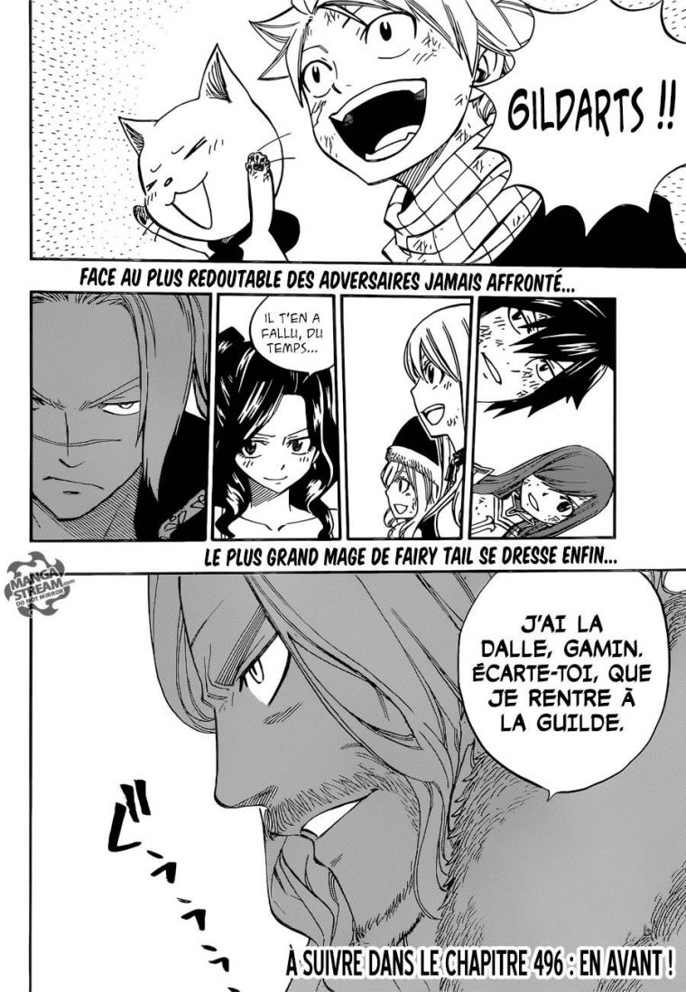 Lecture En Ligne Fairy Tail 495 Page 25  Fairy Tail intérieur Mangaenligne