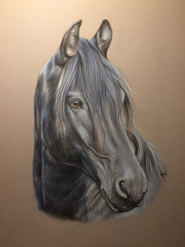 Les 28 Meilleures Images Du Tableau Les Pastels De Vir destiné Dessin Des Chevaux 