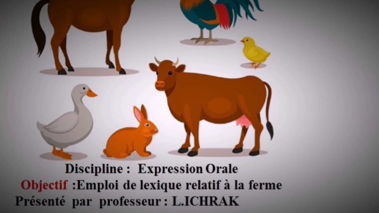 Les Animaux De La Ferme – concernant Image Les Animaux De La Ferme