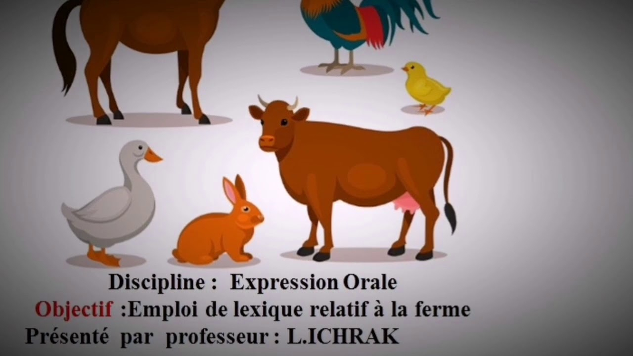 Les Animaux De La Ferme - concernant Image Les Animaux De La Ferme 