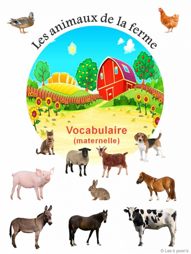 Les Animaux De La Ferme – Découverte Du Monde, Ecriture tout Monde Des Petits Fiches