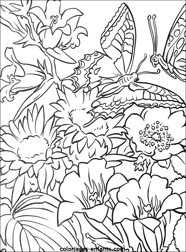 Les Coloriages De Fleurs Sur À Imprimer Sur Coloriages destiné Coloriage De Fleur 