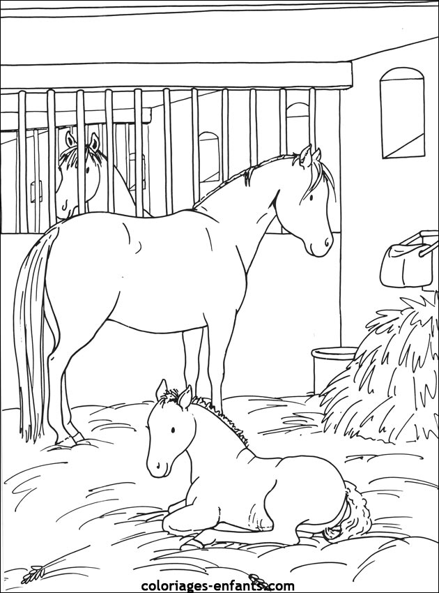 Les Coloriages D&amp;#039;Équitation À Imprimer Sur Coloriages serapportantà Chevaux À Colorier 