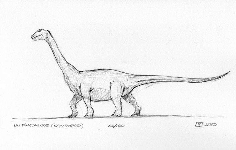 Les Dessins De Daniel: Croquis D'Un Dinosaure – Sketch Of destiné Dinosaure Dessin