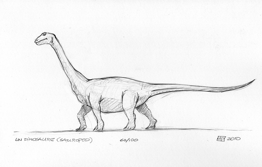 Les Dessins De Daniel: Croquis D&amp;#039;Un Dinosaure - Sketch Of destiné Dinosaure Dessin 