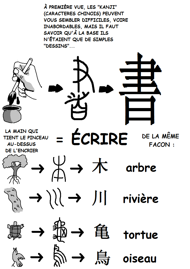 Les Kanji - Apprendre Le Japonais  Apprendre Le Japonais pour Lettre A En Chinois 
