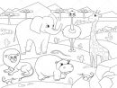 Libro El Elefante Blanco Pdf  Libro Gratis concernant Coloriage Savane Africaine