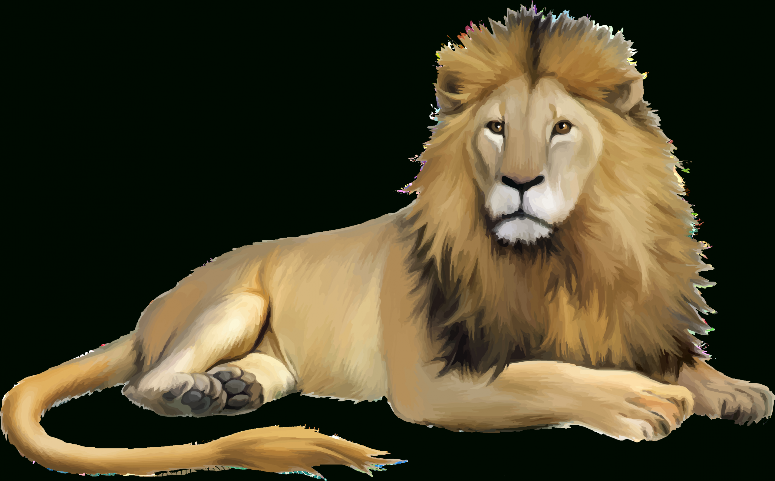 Lion Cartoon - Lion Png Download - 2586*1605 - Free dedans Dessins Lion 