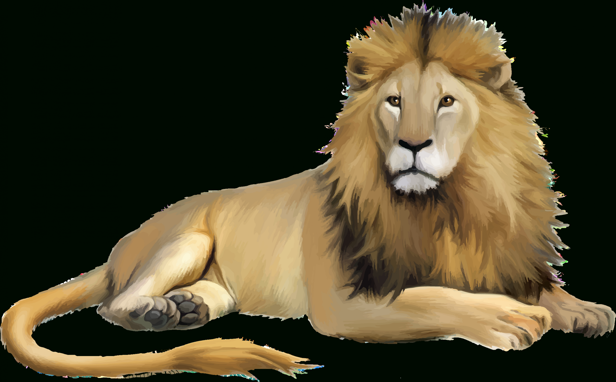 Lion Cartoon - Lion Png Download - 2586*1605 - Free pour Lion Dessin 