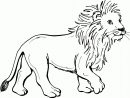 Lion Coloring Pages - Kidsuki avec Lion Dessin