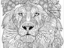 Lion Motifs Complexes - Lions - Coloriages Difficiles Pour à Coloriages Animaux