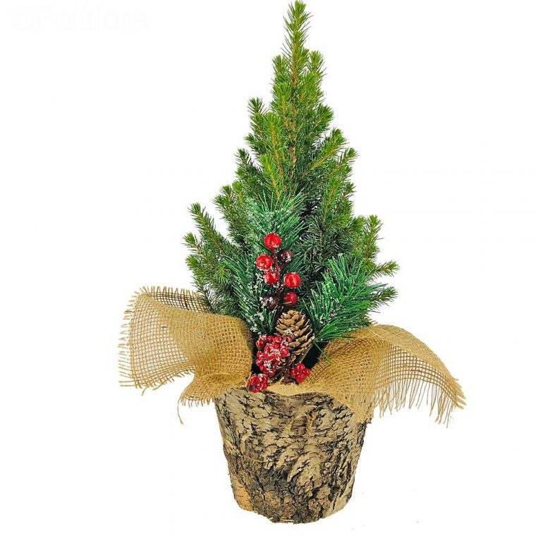 Livraison Sapin De Noël Décoré – Plante Verte – Foliflora encequiconcerne Sapin Noel Image