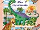 Livre: Les Dinosaures, Émilie Beaumont, Fleurus, L encequiconcerne Les Petits Dinosaures