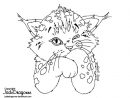 Lynx Coloring Page At Getcolorings  Free Printable à Coloriage De Lynx