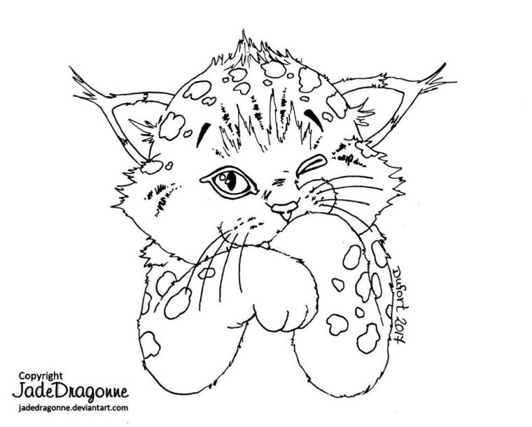 Lynx Coloring Page At Getcolorings  Free Printable à Coloriage De Lynx