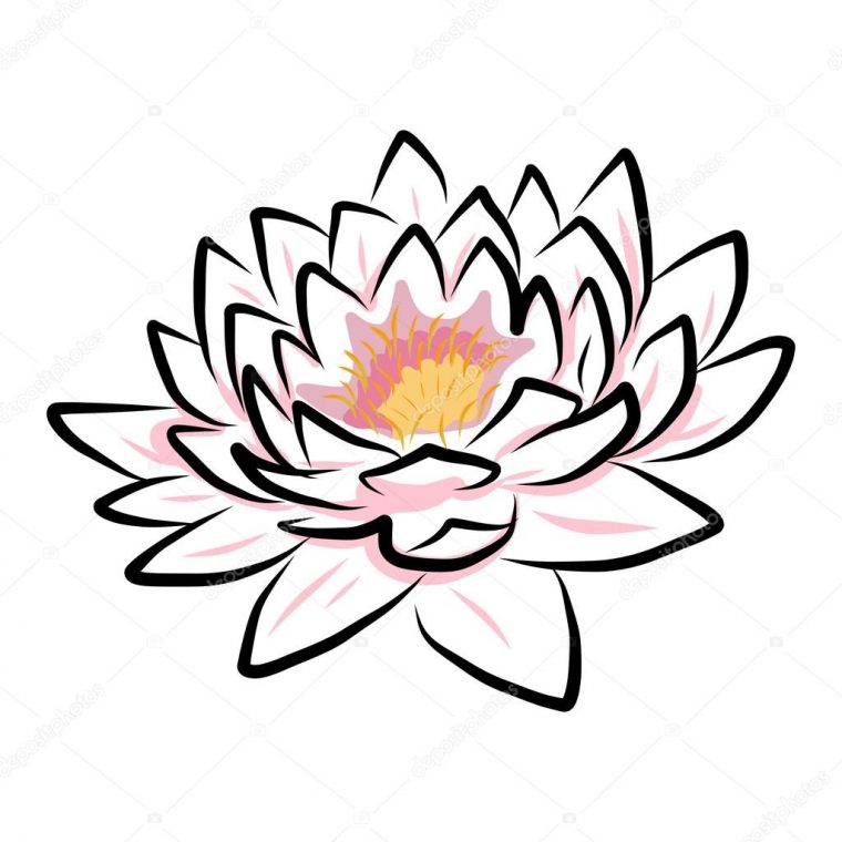 Main, Dessin Nénuphar, Lotus, Fleur — Image Vectorielle serapportantà Nénuphar Dessin