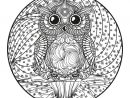 Mandala Hibou Zentangle Illustration De Vecteur encequiconcerne Mandala Hibou