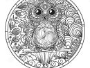 Mandala Hibou Zentangle Illustration De Vecteur pour Mandala Hibou