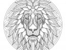 Mandala With Beautiful Lion Head And Geometric Patterns avec Mandala À Imprimer Pour Adulte