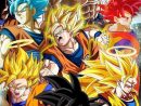 Mangas  Anime Dragon Ball Super, Anime Dragon Ball serapportantà Dessin De Dbz